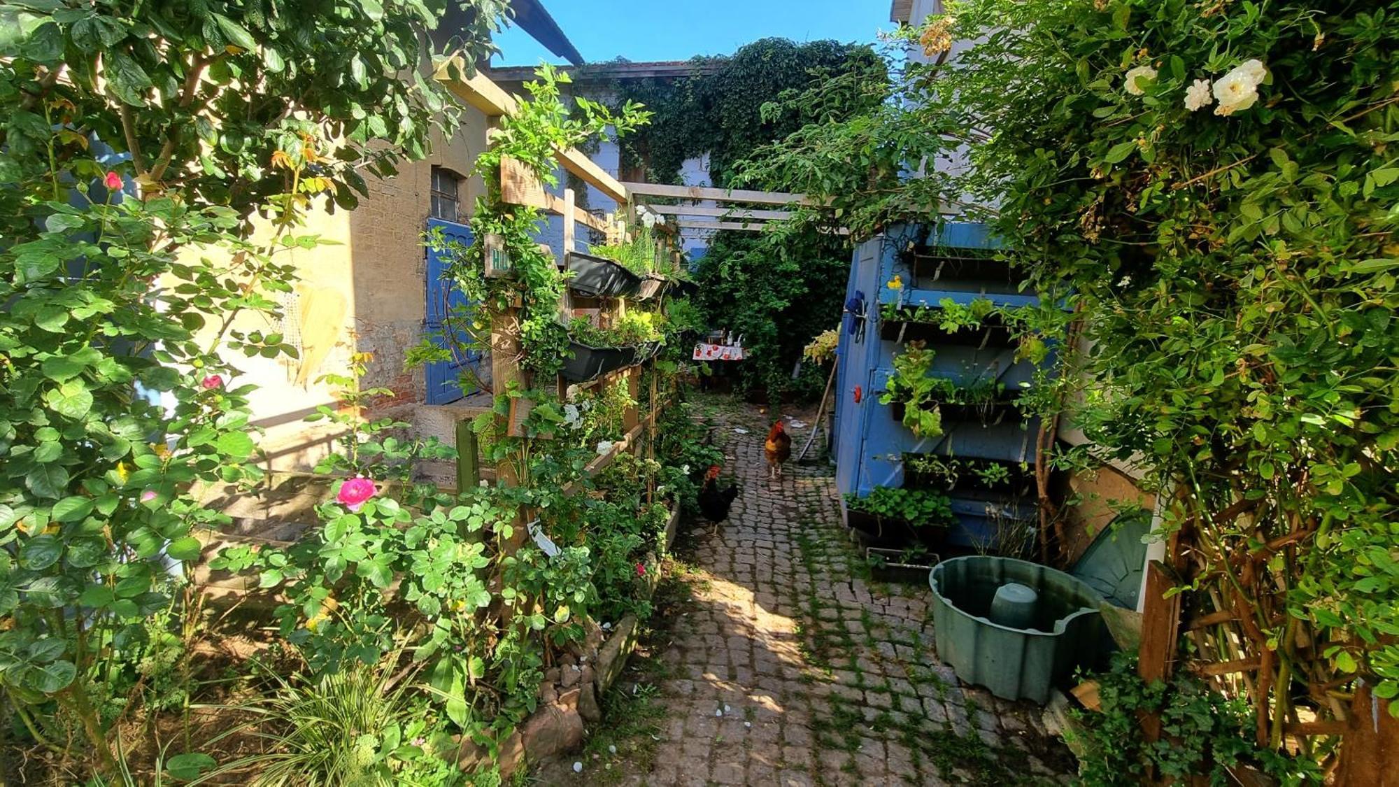 Bauernhof Privatzimmer Hortus Sandrine Gemeinschaftsbad Free Wifi Hausbreitenbach 외부 사진