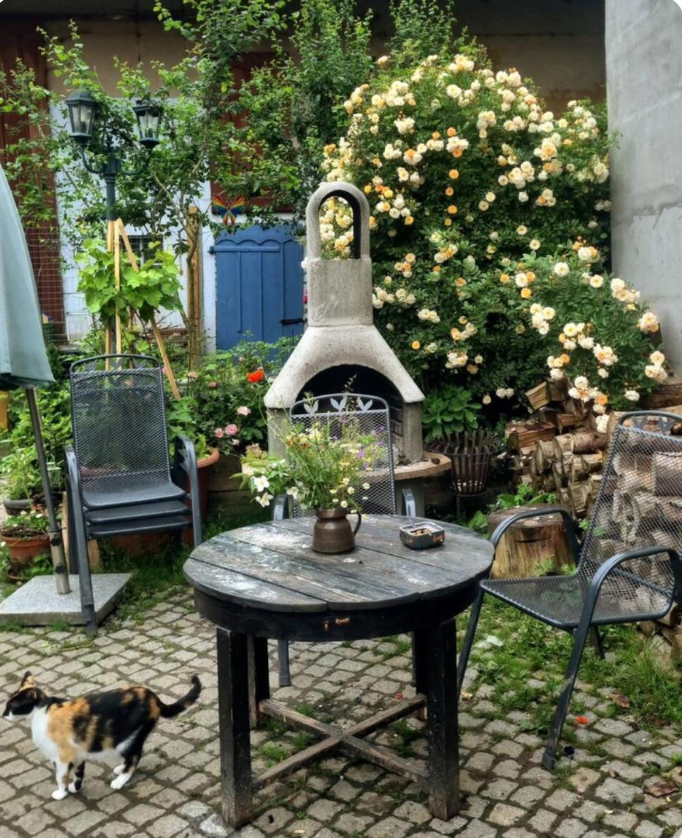 Bauernhof Privatzimmer Hortus Sandrine Gemeinschaftsbad Free Wifi Hausbreitenbach 외부 사진