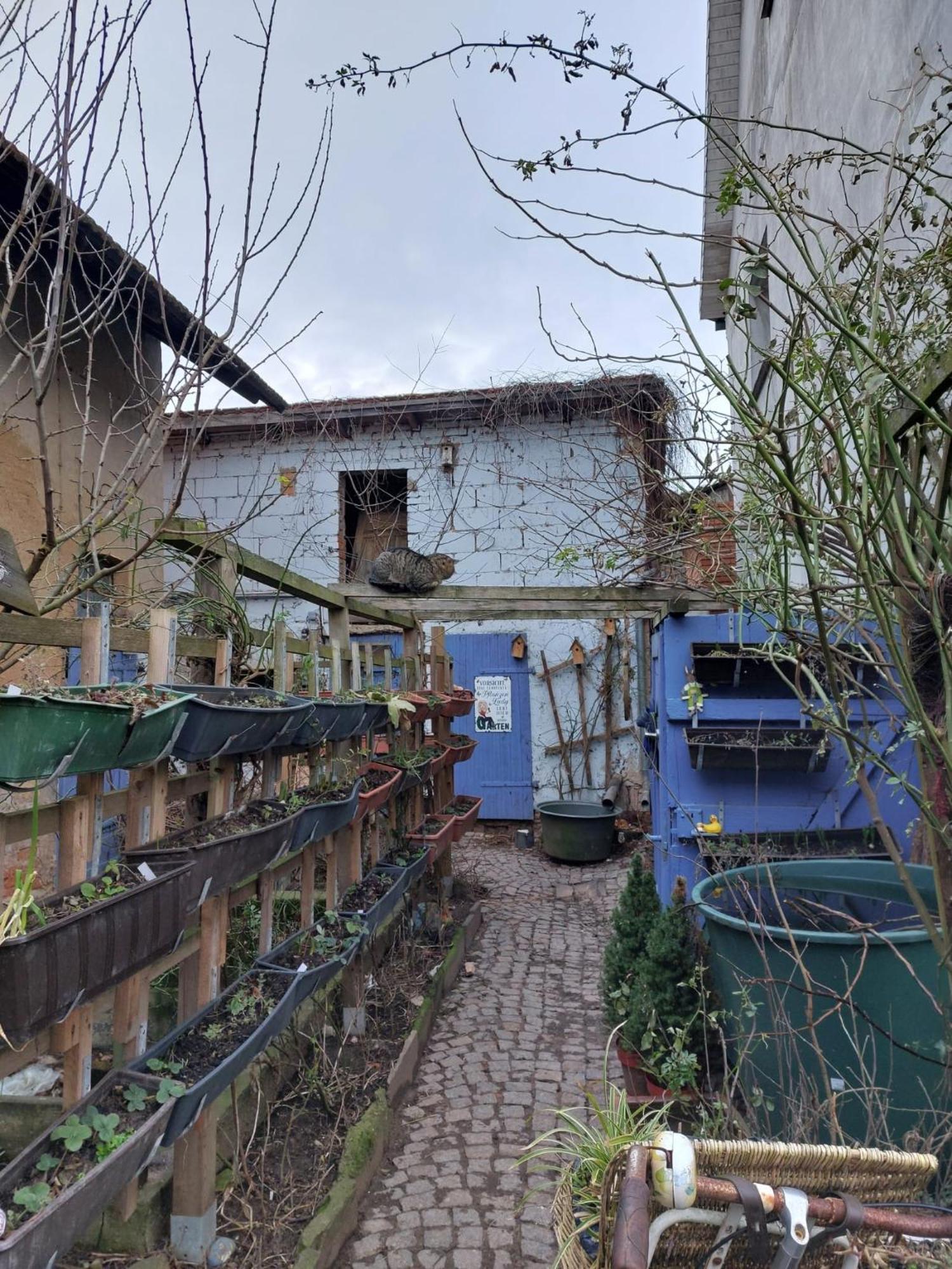 Bauernhof Privatzimmer Hortus Sandrine Gemeinschaftsbad Free Wifi Hausbreitenbach 외부 사진